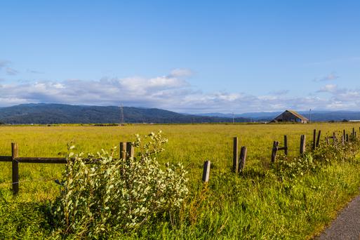 Exploring the Hidden Gems of Eureka, California: A Haven of Natural Beauty and Community Spirit