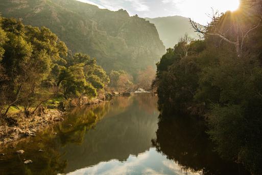 Top 5 Things to Do at Malibu Creek State Park