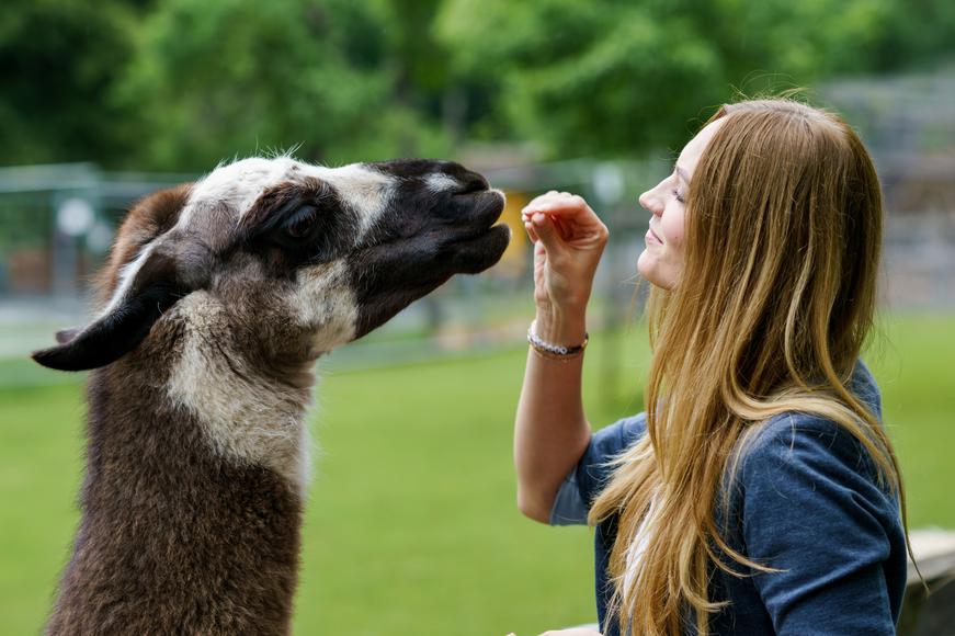 The 5 Best Petting Zoos in California