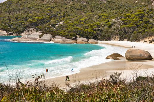 Uncover Coastal Gems: A Guide to the Best Beaches near El Cerrito, California