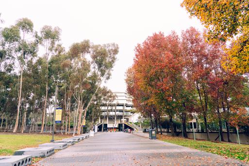 The Top 5 Colleges Near Solana Beach, California