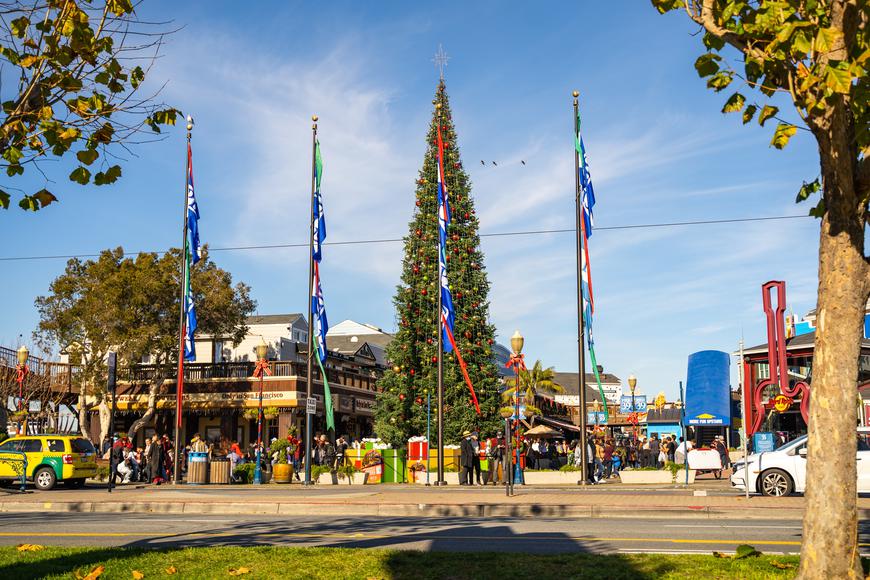 Biggest Christmas Trees in California