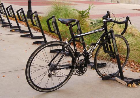 Here's Our Guide to the Best Colleges near Live Oak