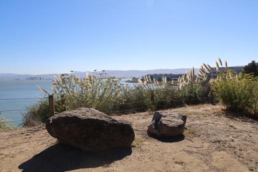 Discovering the Hidden Gems of San Bruno, California