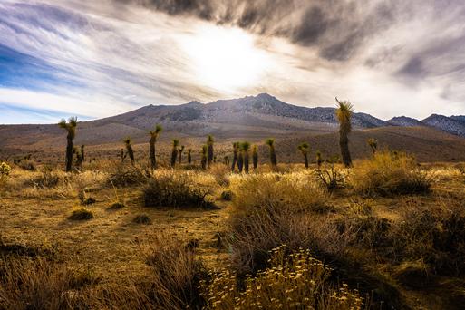Experience the Hidden Gems of Ridgecrest: A California Oasis