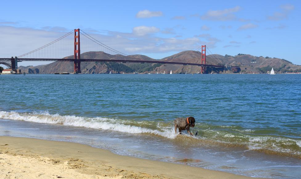 Sun, Surf, and Sand: Uncovering the Top Beaches Near Benicia, California