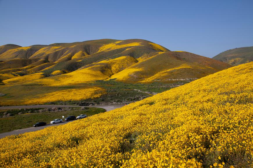 Everything to Know About Visiting Carrizo Plain National Monument