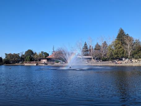 Best Beaches Near Walnut Creek, California