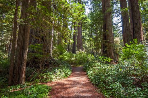 Here Are the Top 5 NorCal Weekend Getaways