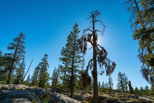 The 5 Best Colleges Near Woodcrest, California