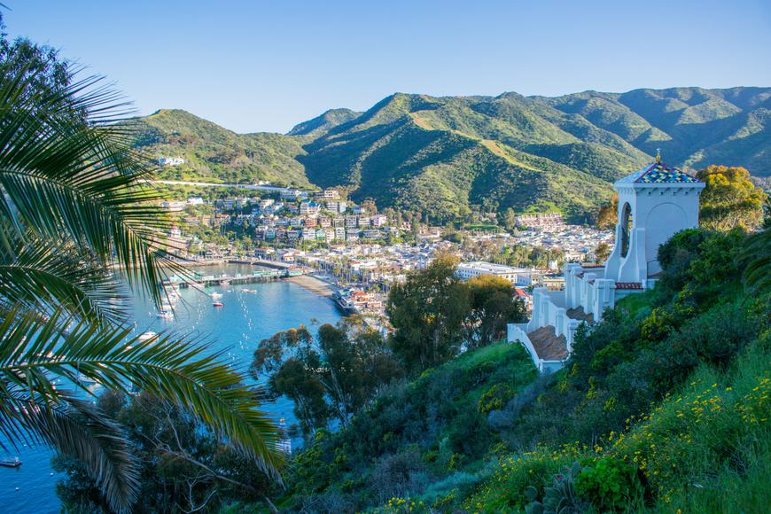 The Top 5 Things to Do on Catalina Island