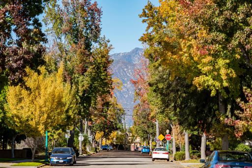 How to Get Into the Fall Spirit While Living in SoCal
