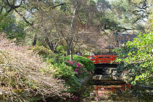 Your Guide to Visiting Descanso Gardens