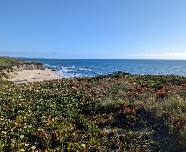 Uncovering Sun-Soaked Splendor: Discover the Top Beaches Near Castro Valley, California