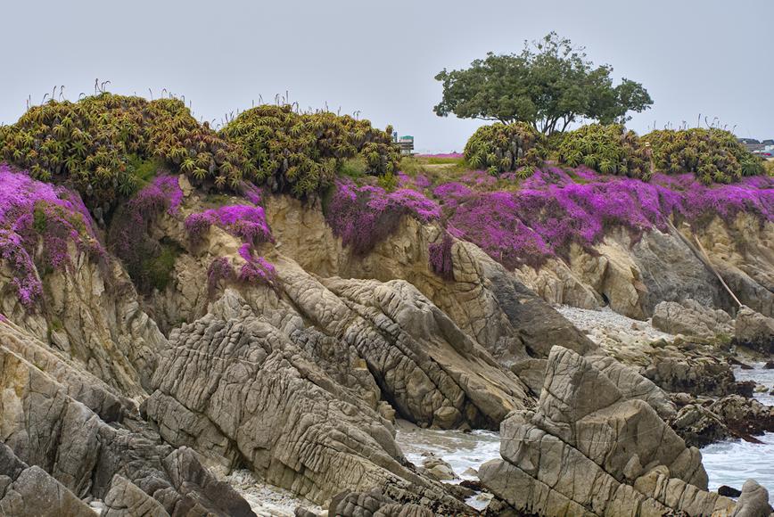 The 5 Best Beaches Near Hillsborough, California