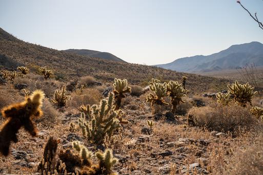 Here's Why Ghost Mountain is Awesome