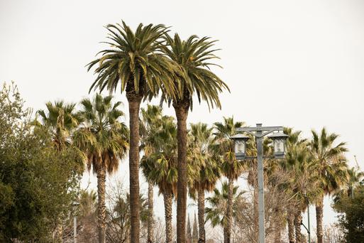 Here Are the Top Colleges near Los Banos