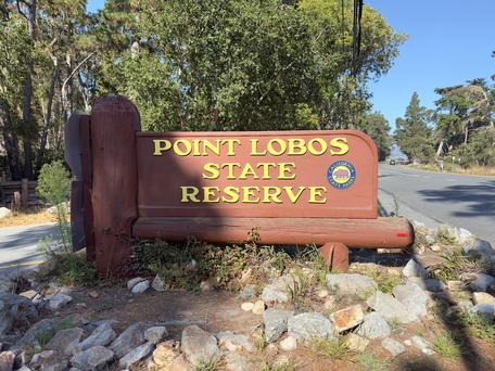 The Top 5 Point Lobos Hikes To Go On Soon