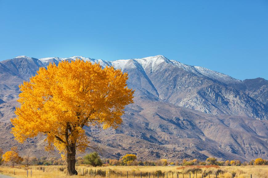 The Beauty of California's Sierra Nevada Mountains