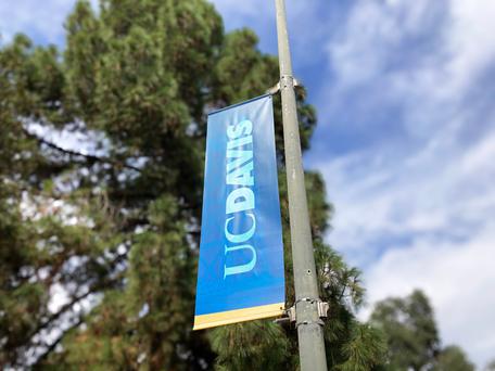 Here Are the Top 5 Colleges near Lemon Hill