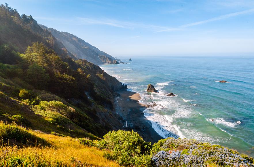 A Guide to California State Park Passes