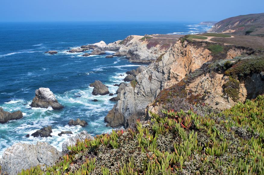 The Ultimate Guide to Sonoma Coast State Park