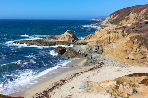 Sonoma Coast Wonders: Explore the Best Beaches Near Santa Rosa, California