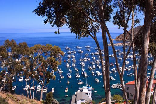 The Best Day Trips from San Diego