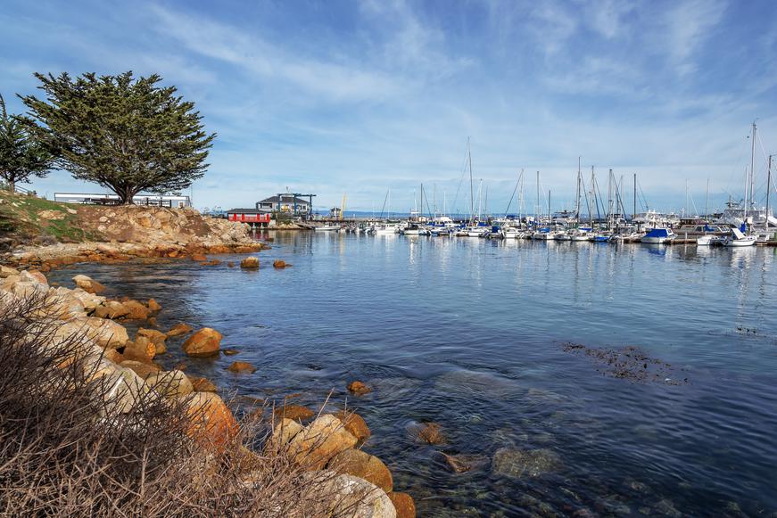 The Best Wildlife Sanctuaries in California to Visit