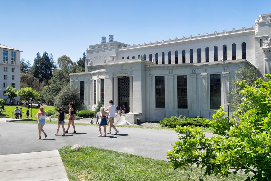 The Best Colleges Near Walnut Creek, California: A Guide to Top-Ranked Institutions