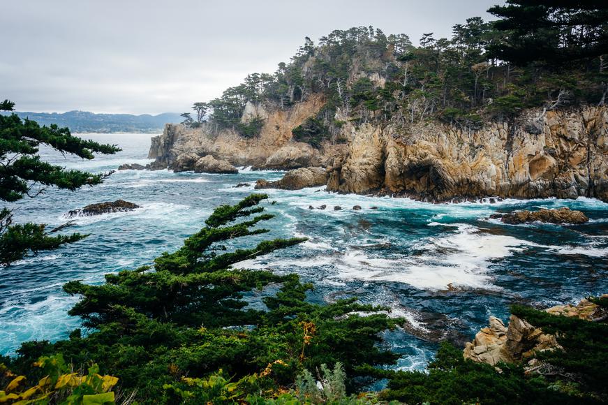 Everything to Know About Visiting Point Lobos State Natural Reserve