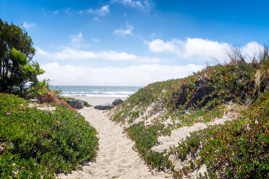 The Best Beaches Near Fremont, California: Top 5 Picks for a Fun Day in the Sun