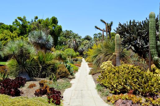 The Best Museums Near Arcadia, California