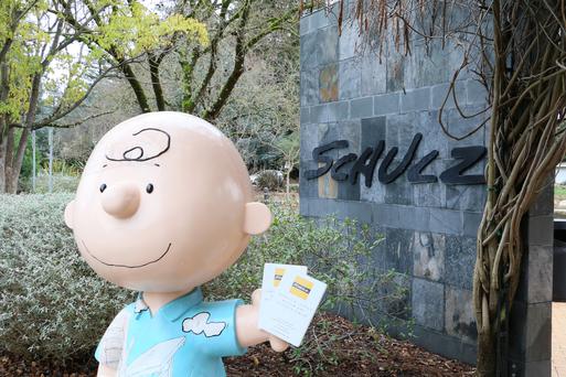 The Best Museums Near Petaluma, California