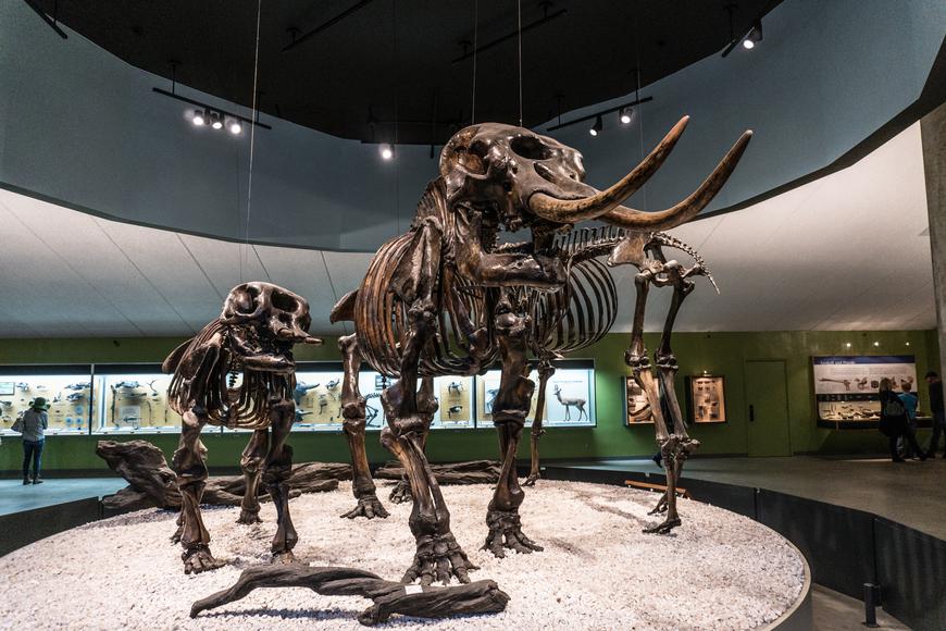 Learn About the Great Museums Near West Hollywood, CA