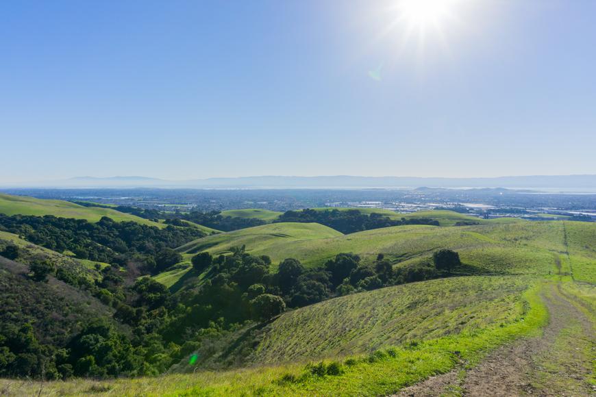 Experience Living in Hayward, California: A City of Natural Beauty and Urban Delights