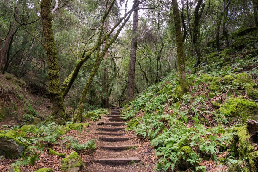 Sugarloaf Ridge State Park: An Ode to California's Wild Wonders
