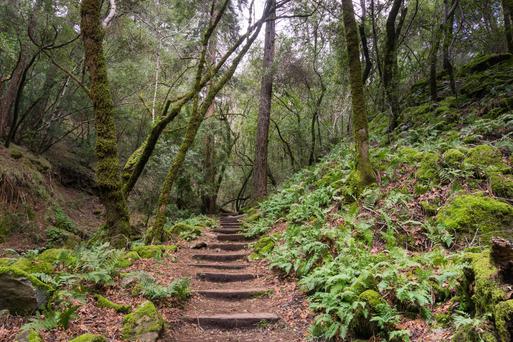 Sugarloaf Ridge State Park: An Ode to California's Wild Wonders