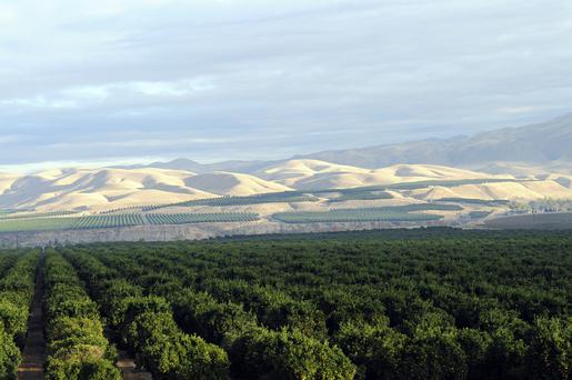 Here Are the Top 5 Museums near Porterville