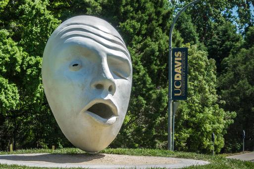 Best Colleges Near Carmichael, California