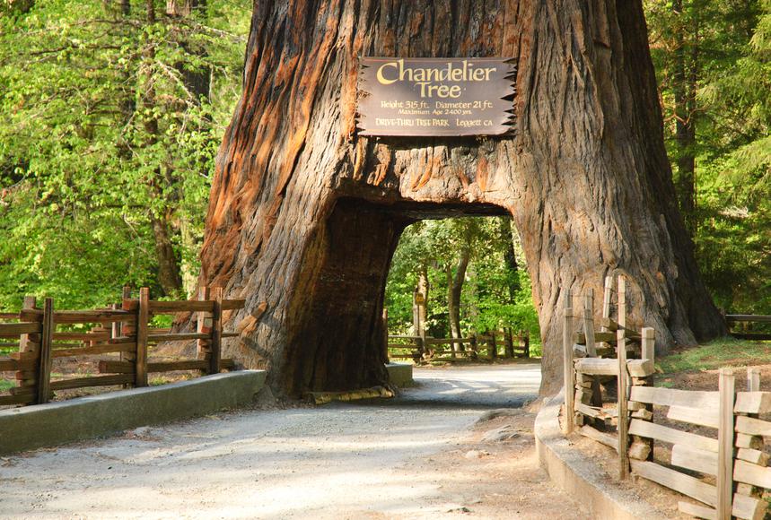 13 Facts About California State Parks That Will Blow Your Mind