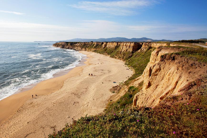 The 5 Best Beaches Near Newark, California