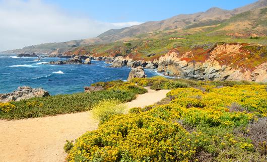 Your Guide to Visiting Garrapata State Park