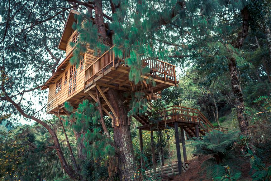 11 Coolest Treehouses in California to Book on Airbnb Now
