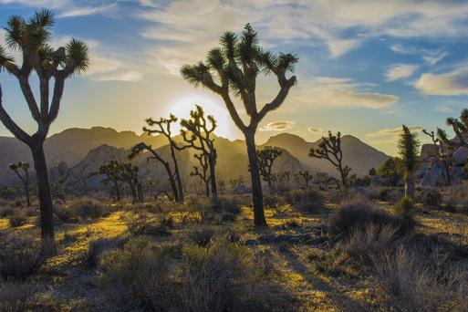 Things to do in Southern California You Can't Anywhere Else