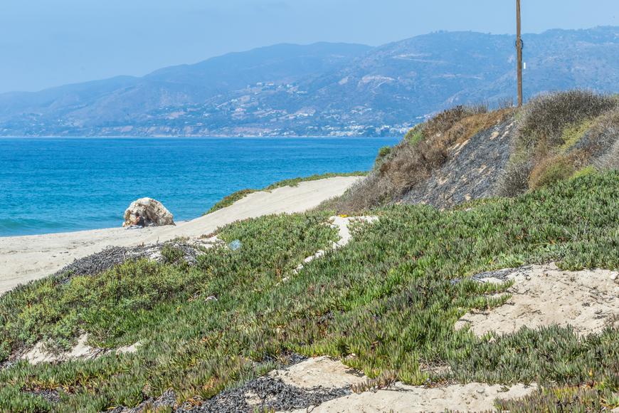 Sun, Sand, and Surf: Discover the Top Beaches Close to Beverly Hills, California