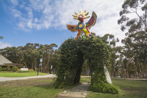 Discovering the Best Colleges Near Encinitas, California