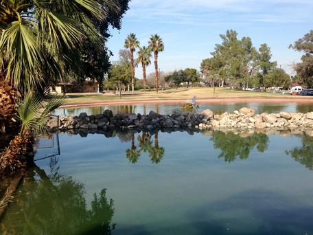 Discover the Hidden Gems of Calexico, California