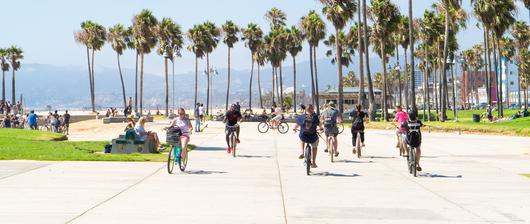 Combating Climate Change One Bike at a Time