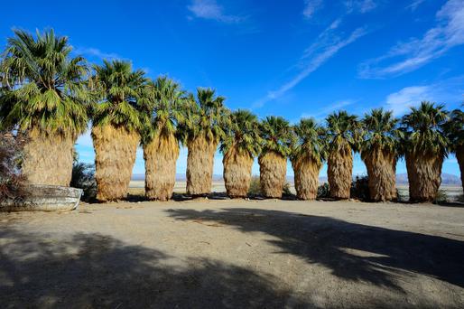 The Top 5 Colleges Near Bloomington, California